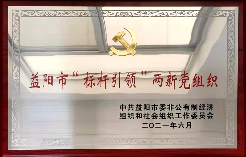 2021年—益陽(yáng)市“標(biāo)桿引領(lǐng)”兩新黨組織